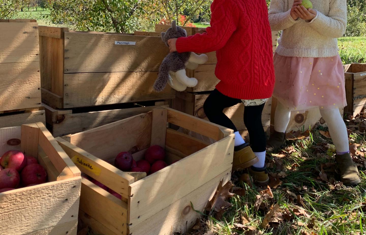 apple crates