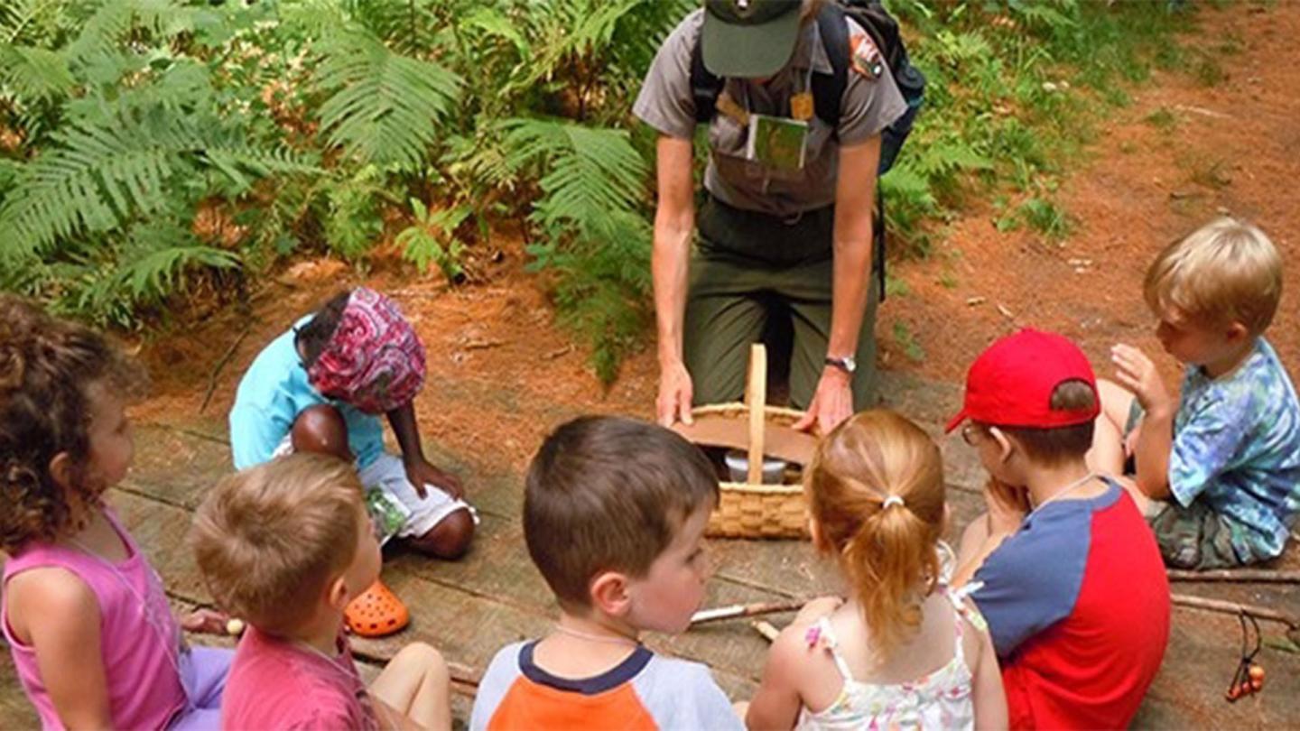 Artistree Kids Camp