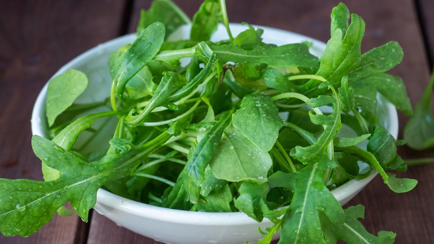 Arugula