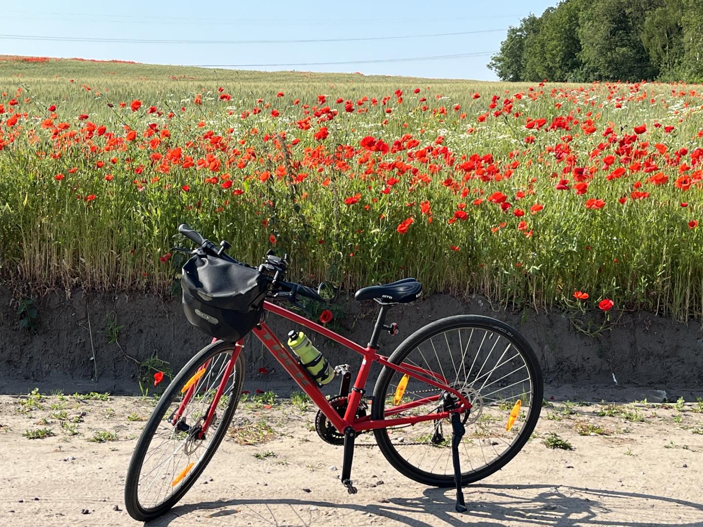 Discovery Bicycle Tours - Woodstock Vermont