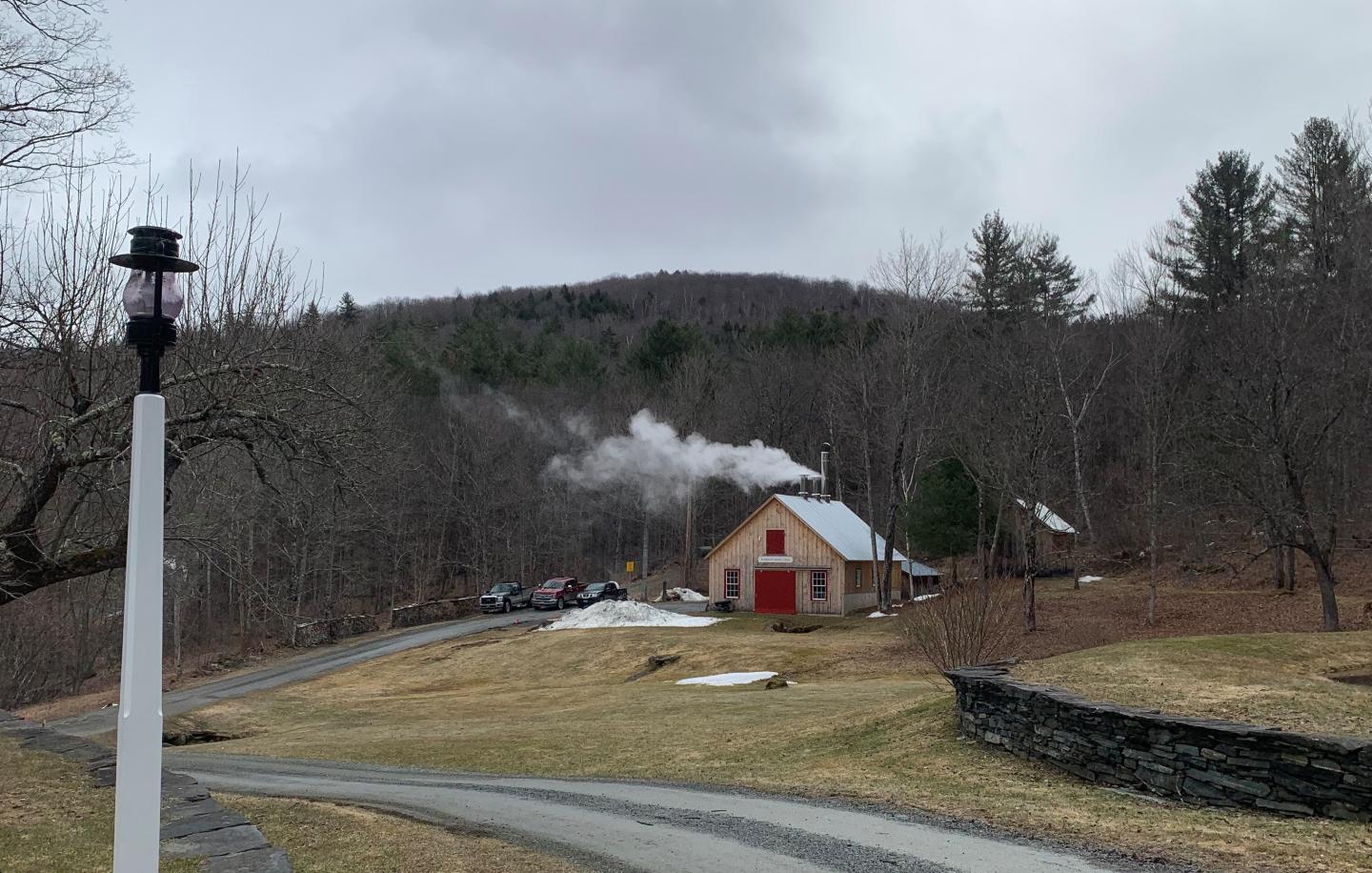 March view of Bourdon Maple Farm