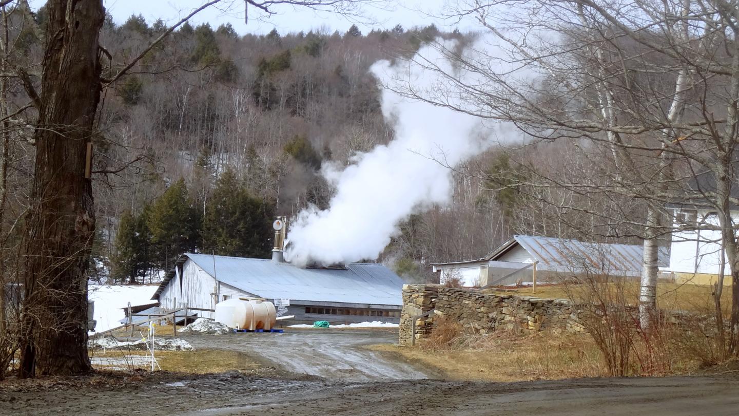 Sugaring season at Sugarbush Farm