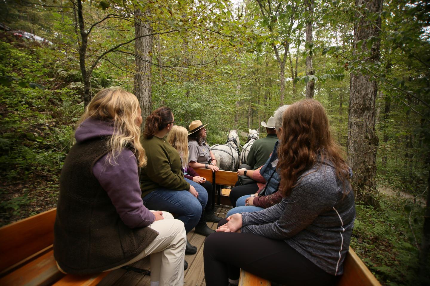 view from back of horse drawn wagon ride traveling through forest with park ranger at the front of the wagon and 5 visitors sitting