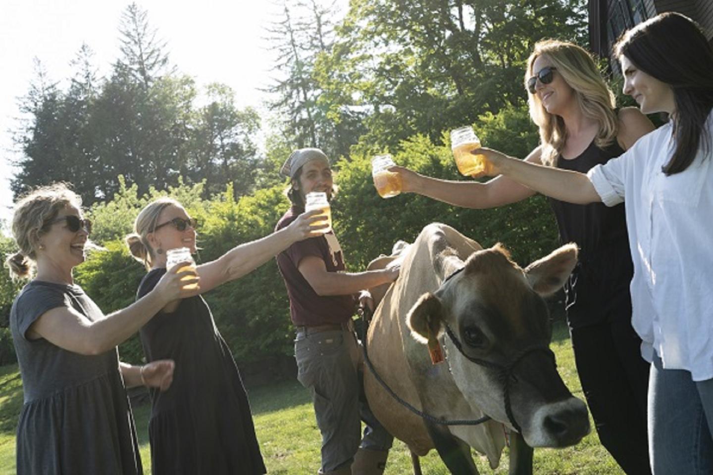 Four women holding glasses of beers toasting over a cow.
