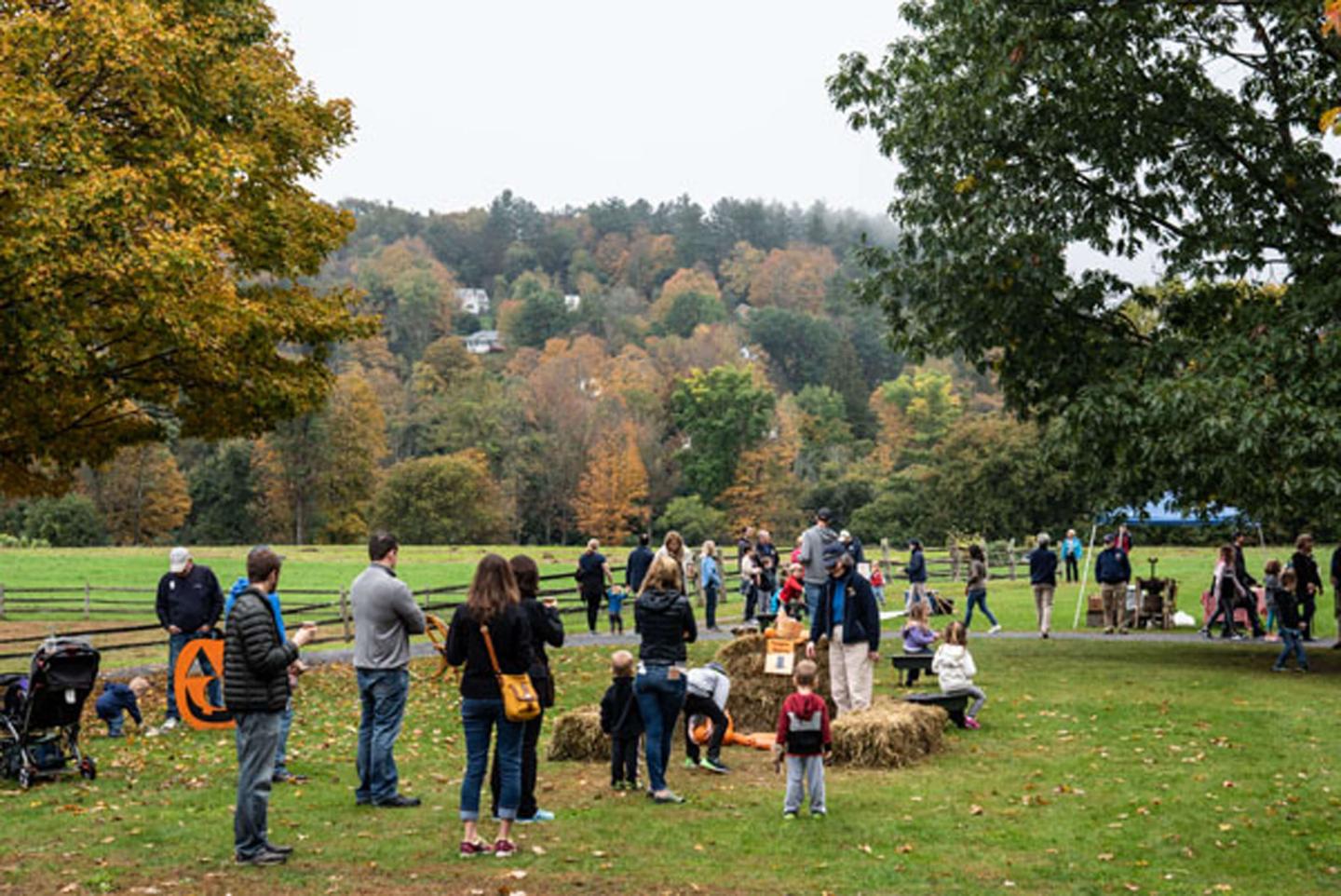 Games: pumpkin bowling and corn-hole.