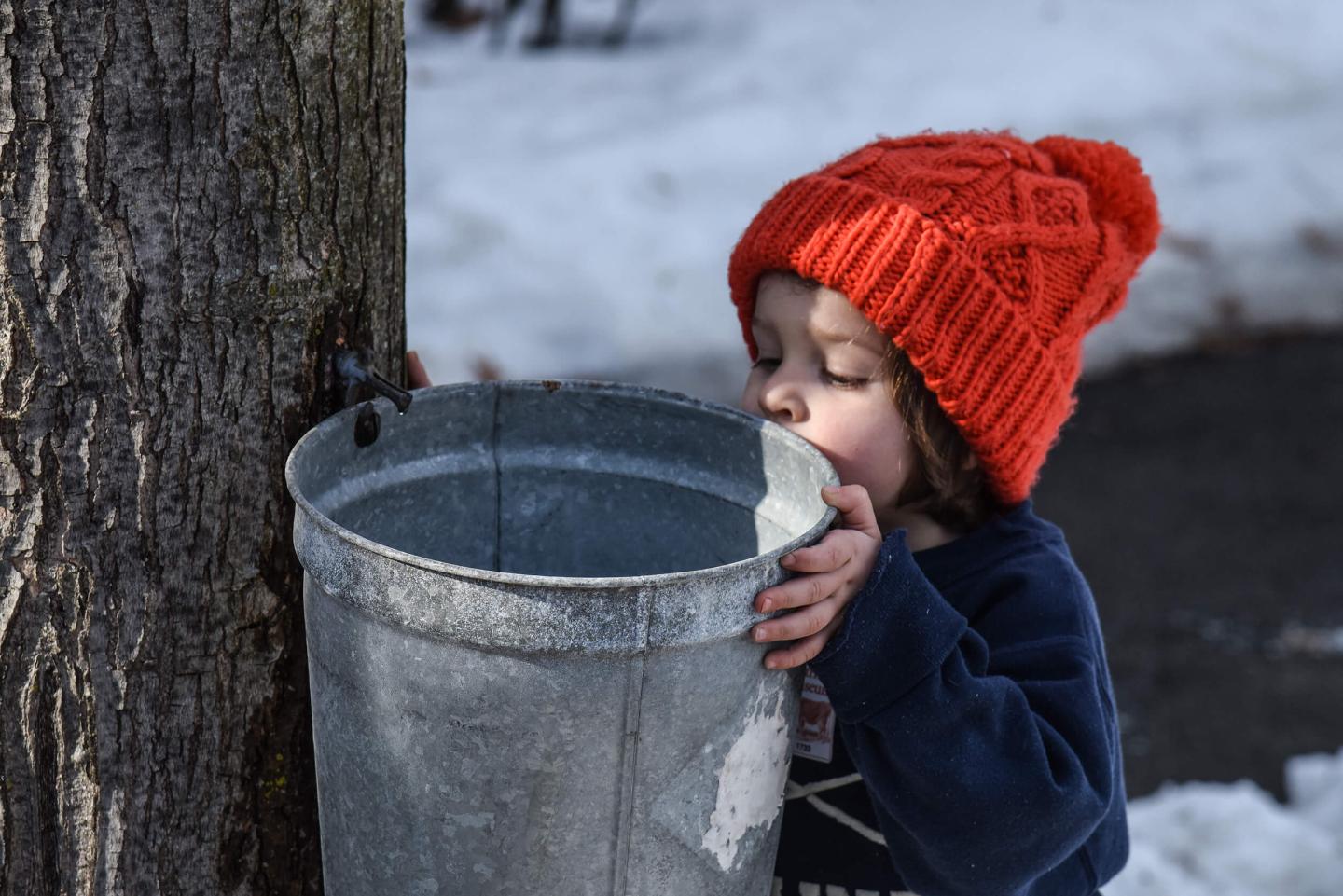 tapped tree with child