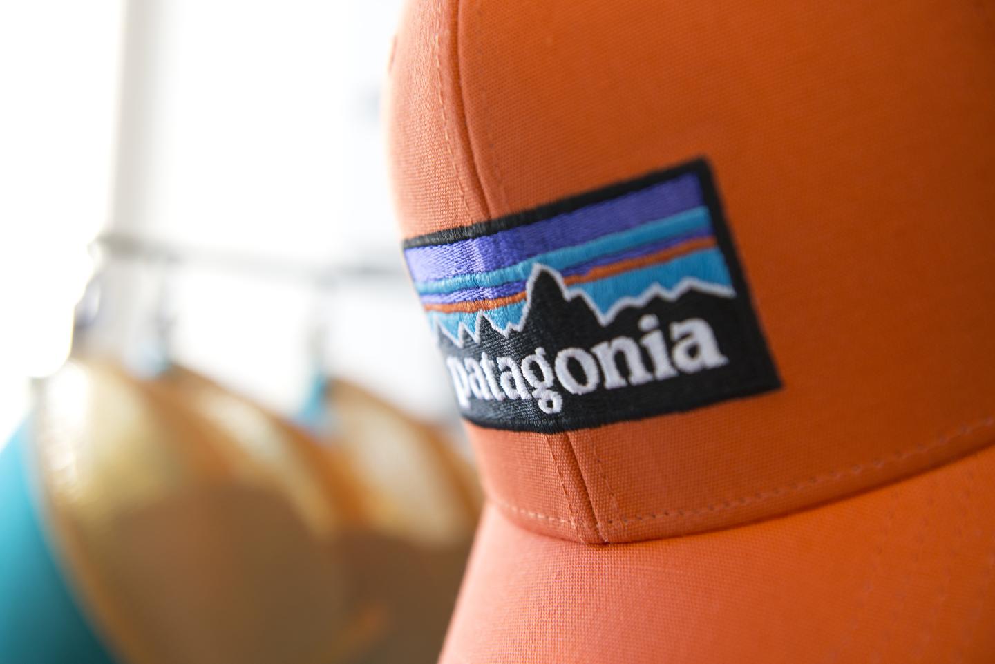 Patagonia Trucker Hats
