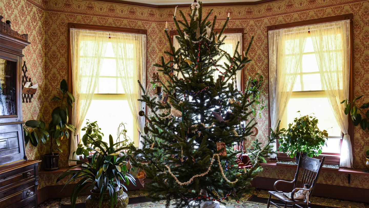 Historic Christmas Tree