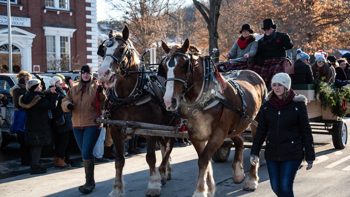 Horse-drawn Wagon