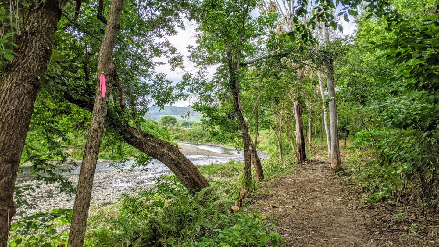 Ottuaquechee River Trail views