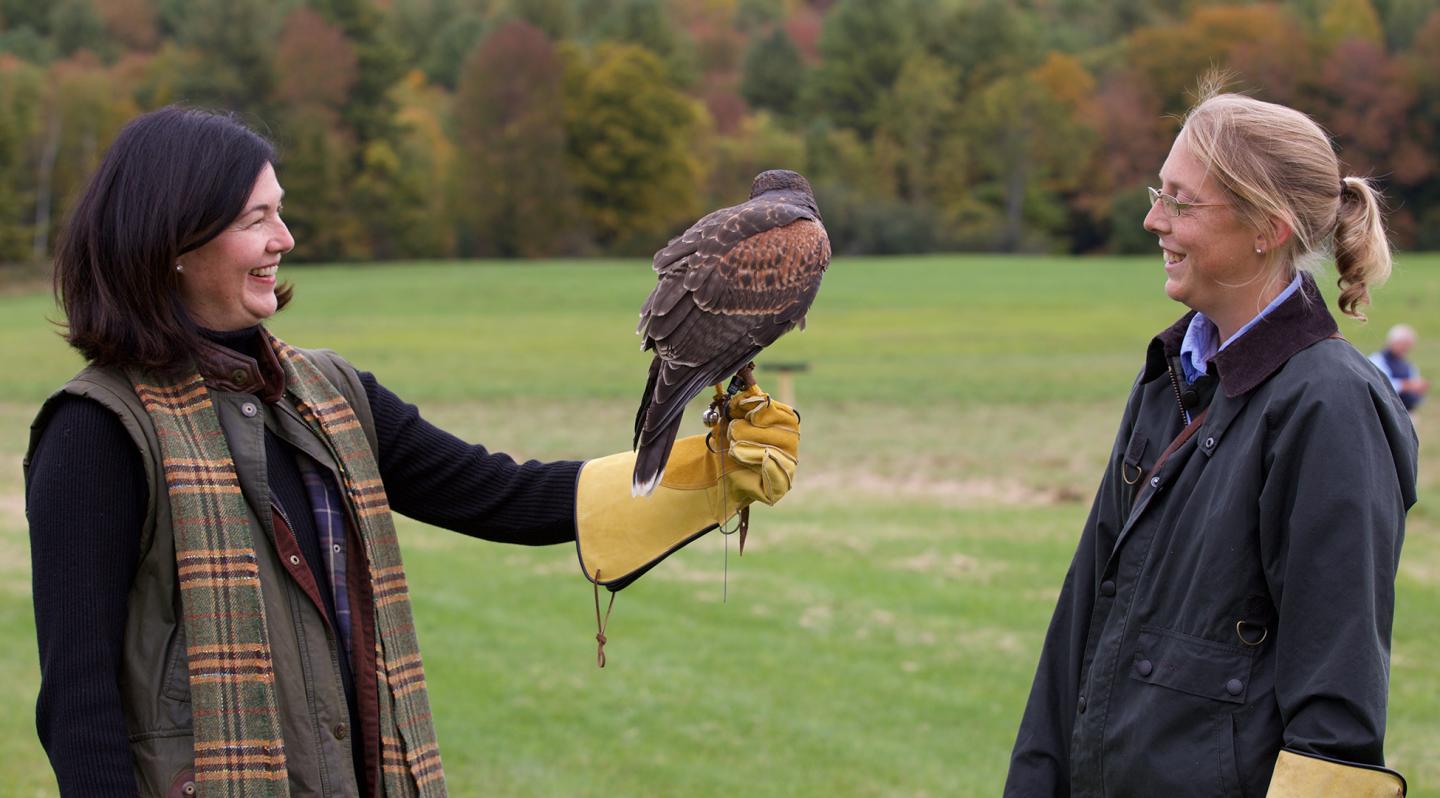 New England Falconry Introductory Session