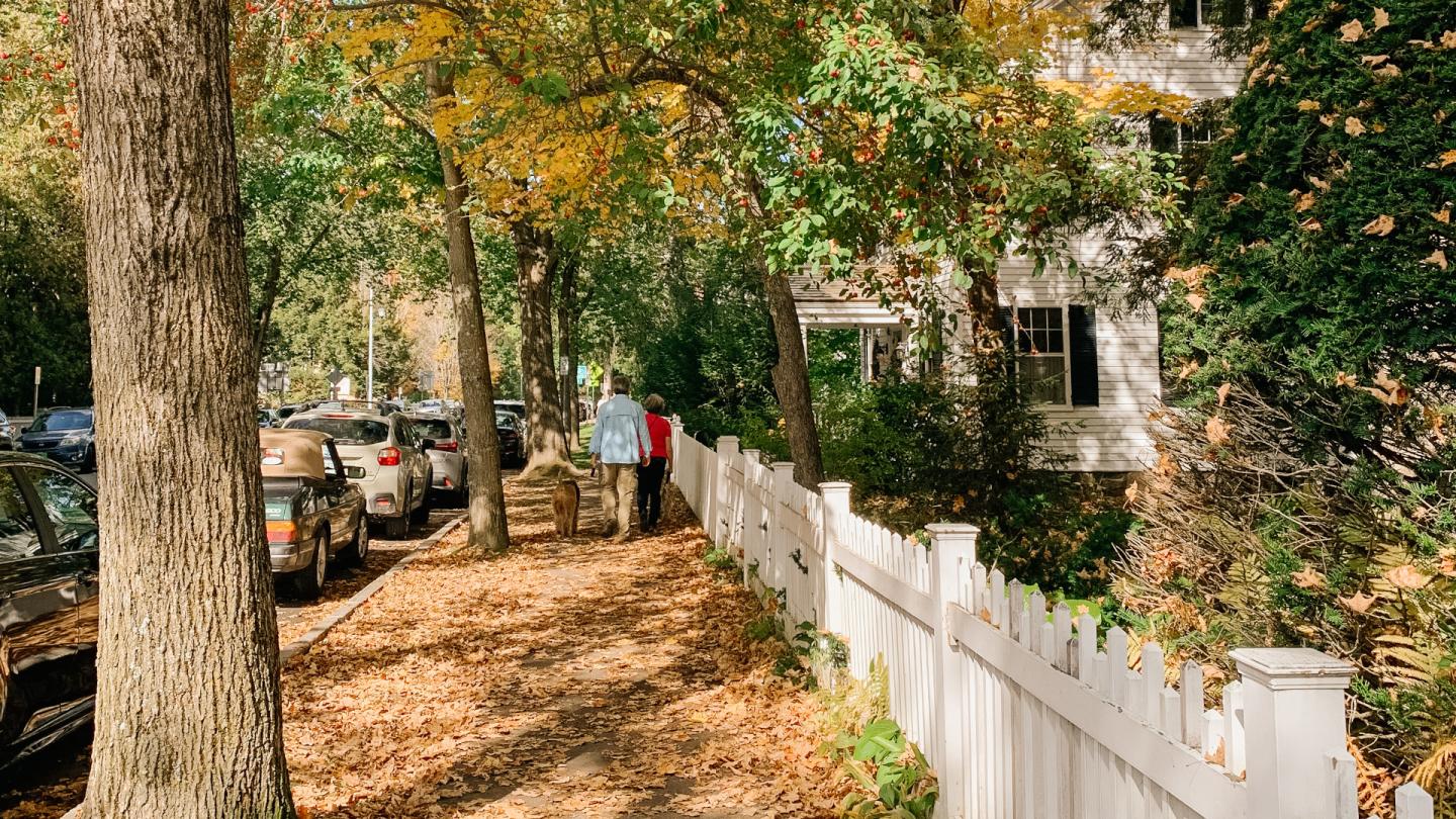Fall Leaves Elm Street