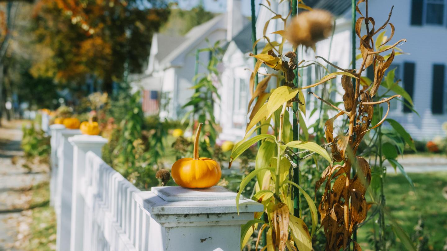 Fall in Woodstock