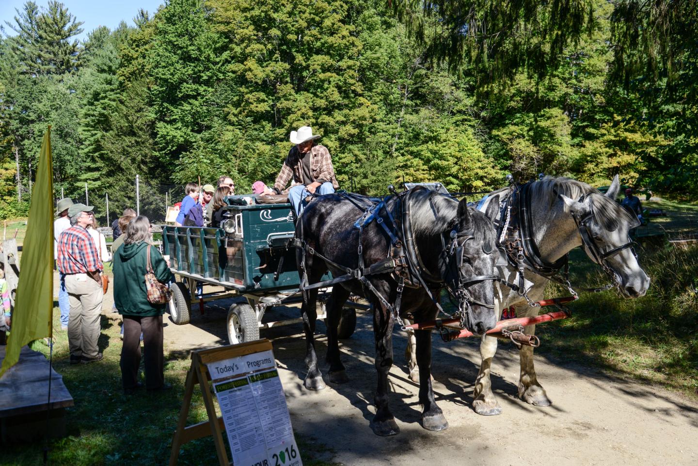 Wagon pulled by two horses and visitors inside stops for more visitors