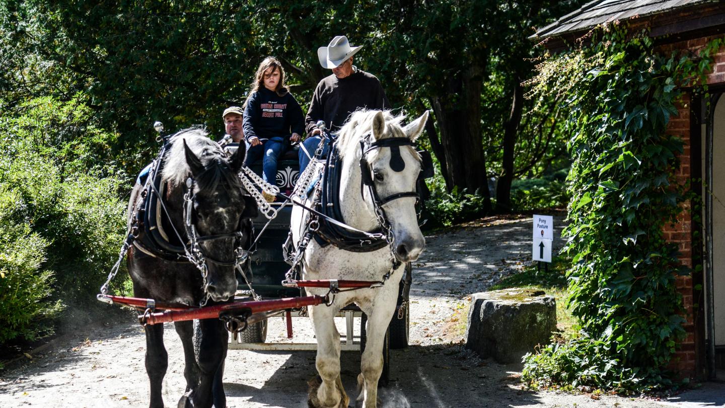Two horses pull a wagon with three people visible in back