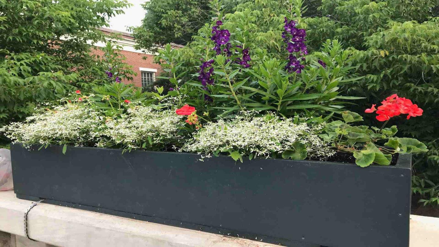 Gardenclub