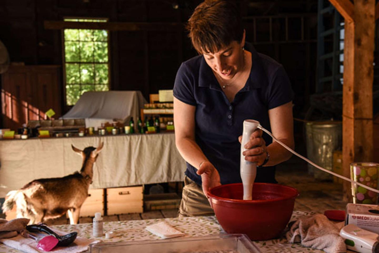 Making goat's milk products like soap and cheese