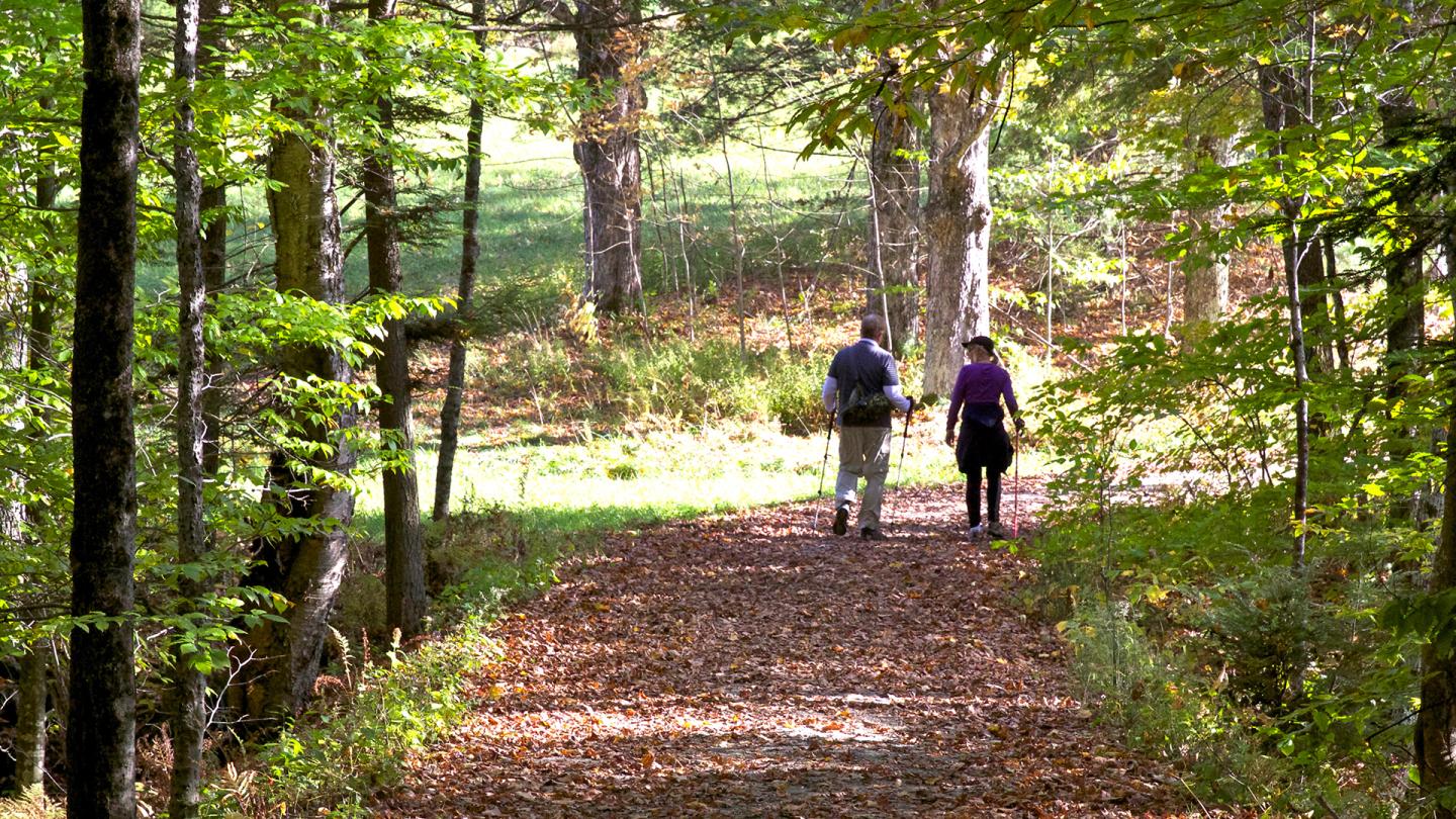Hiking in Woodstock Vermont