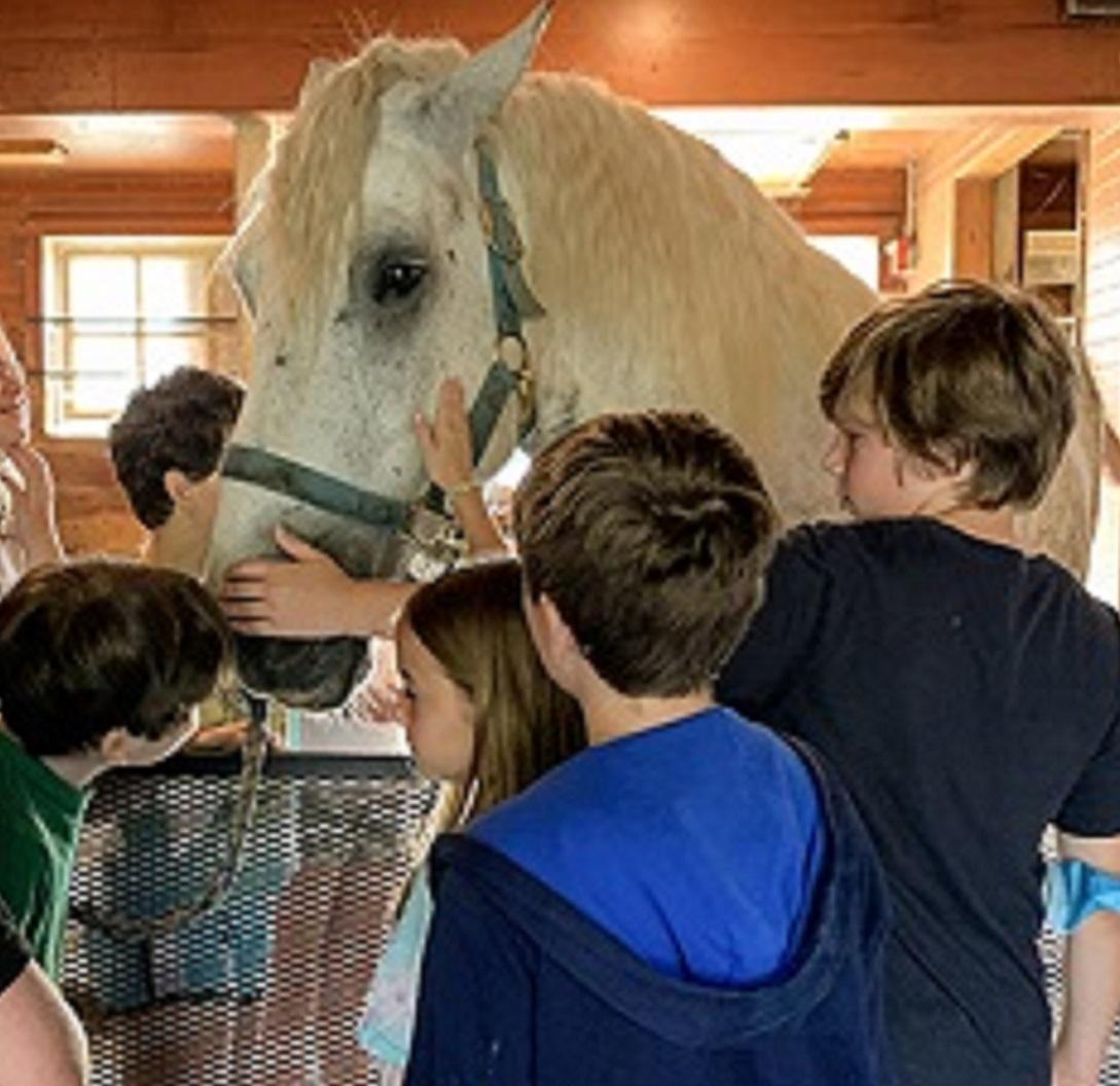 Kids in a barn with a large white horse.