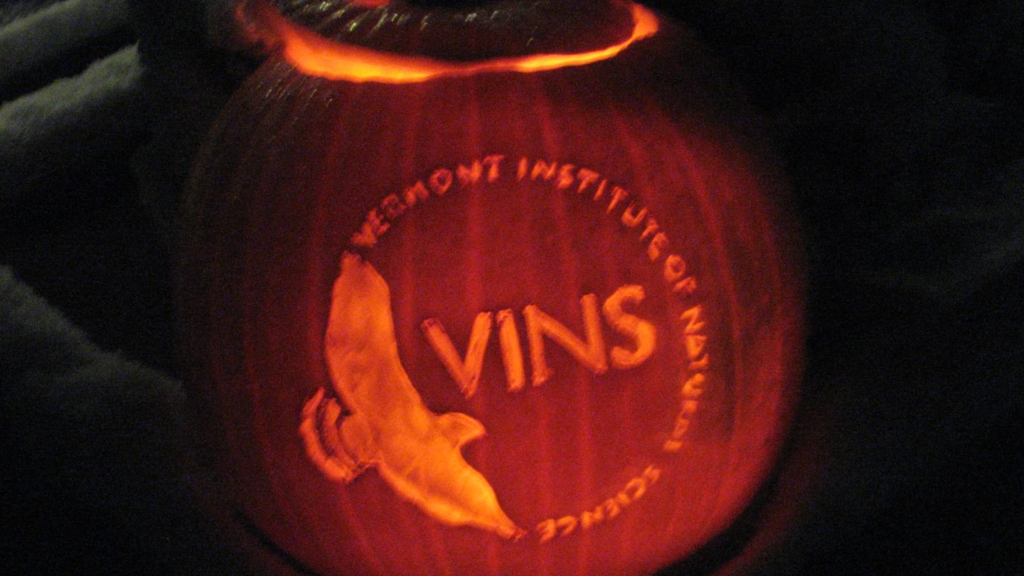 VINS' Annual Hoots and Howls Event