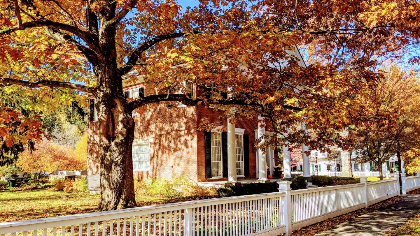 Woodstock elm street house fall foliage