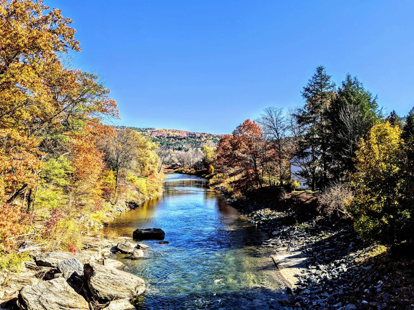 Elm Street Bridge foliage