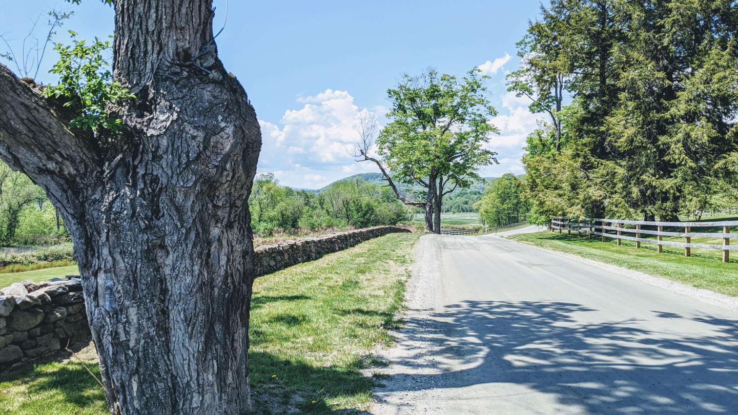 Old River Road spring summer 2