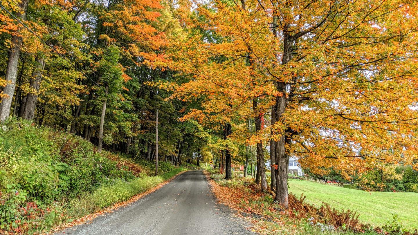 Cloudland Road in autumn