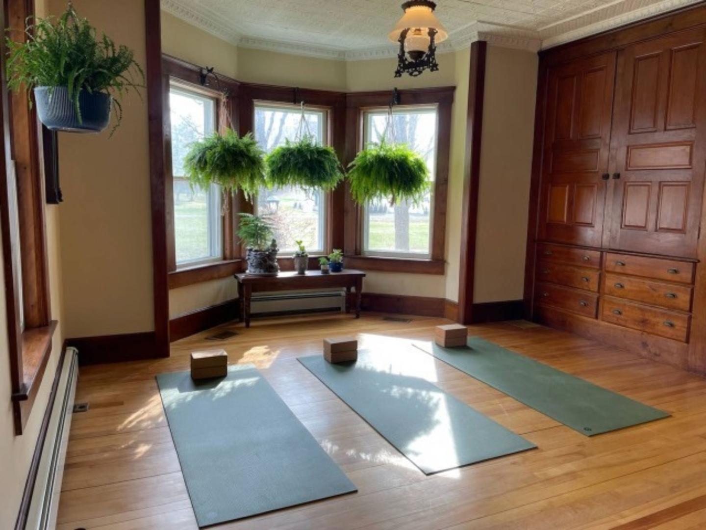 A sunlit room with three yoga mats and blocks on a hardwood floor, surrounded by hanging ferns and wood-paneled walls at The Farmhouse Inn.