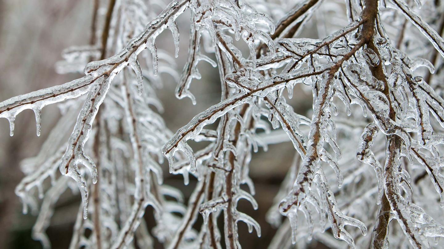 Ice Storms