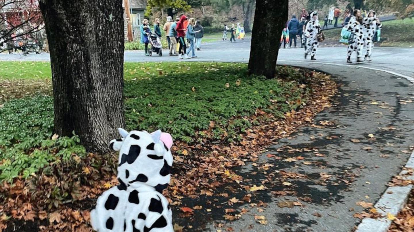 Jess Kirby's daughter Halloween
