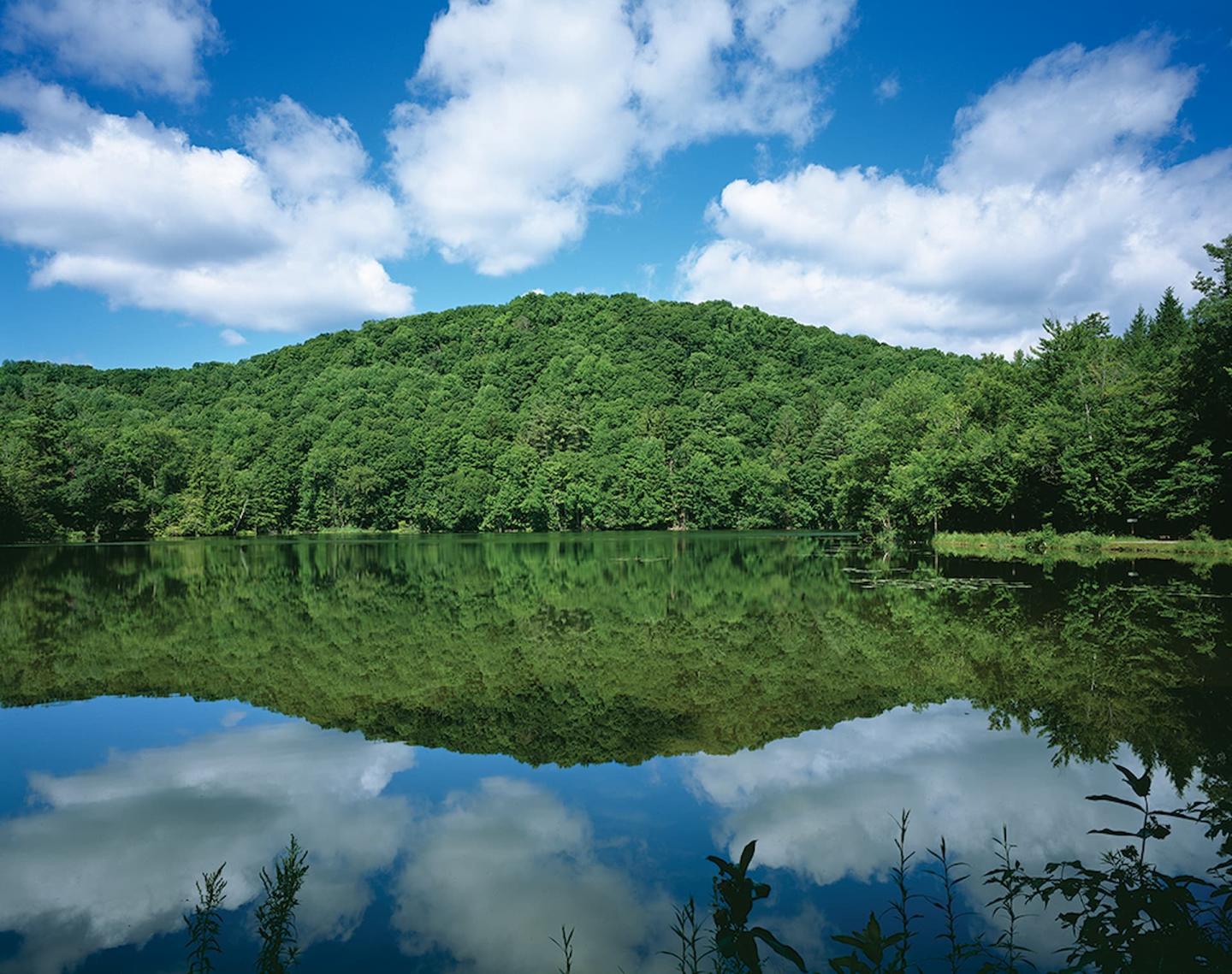 marsh billings pond