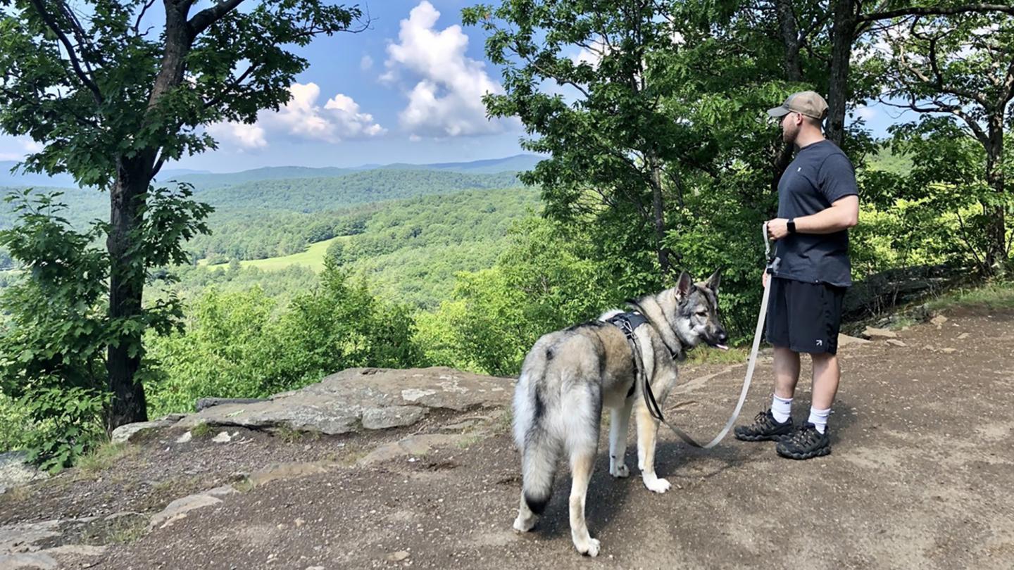 Dog Hikes on MT Tom