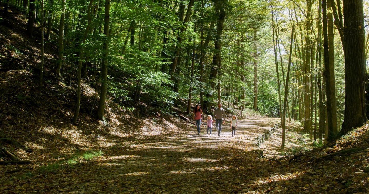 Hiking Mt. Tom