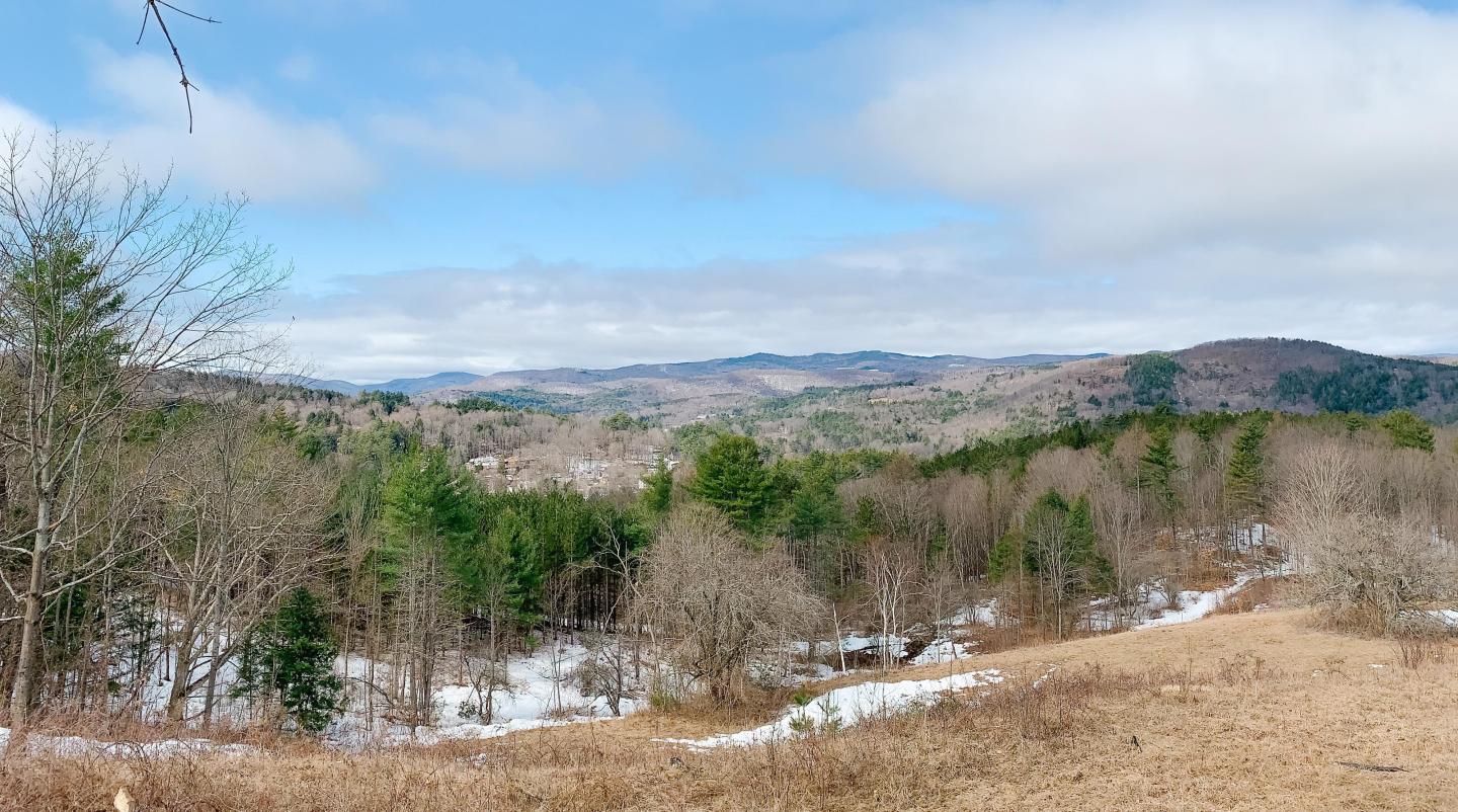 Mt. Peg view in March