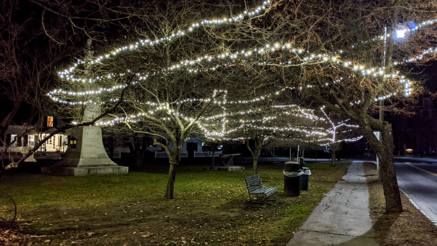 Tribou Park holiday lights