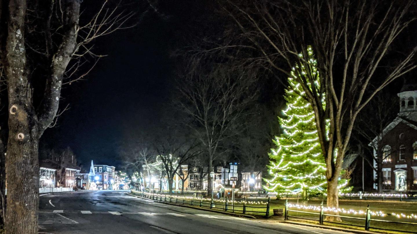 Memory Tree lit in Woodstock
