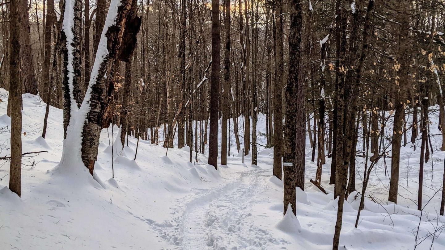 Mt Peg snowy trails winter