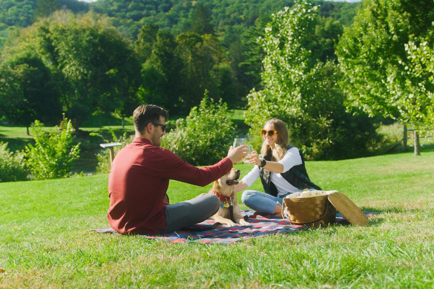 Outdoor Picnic
