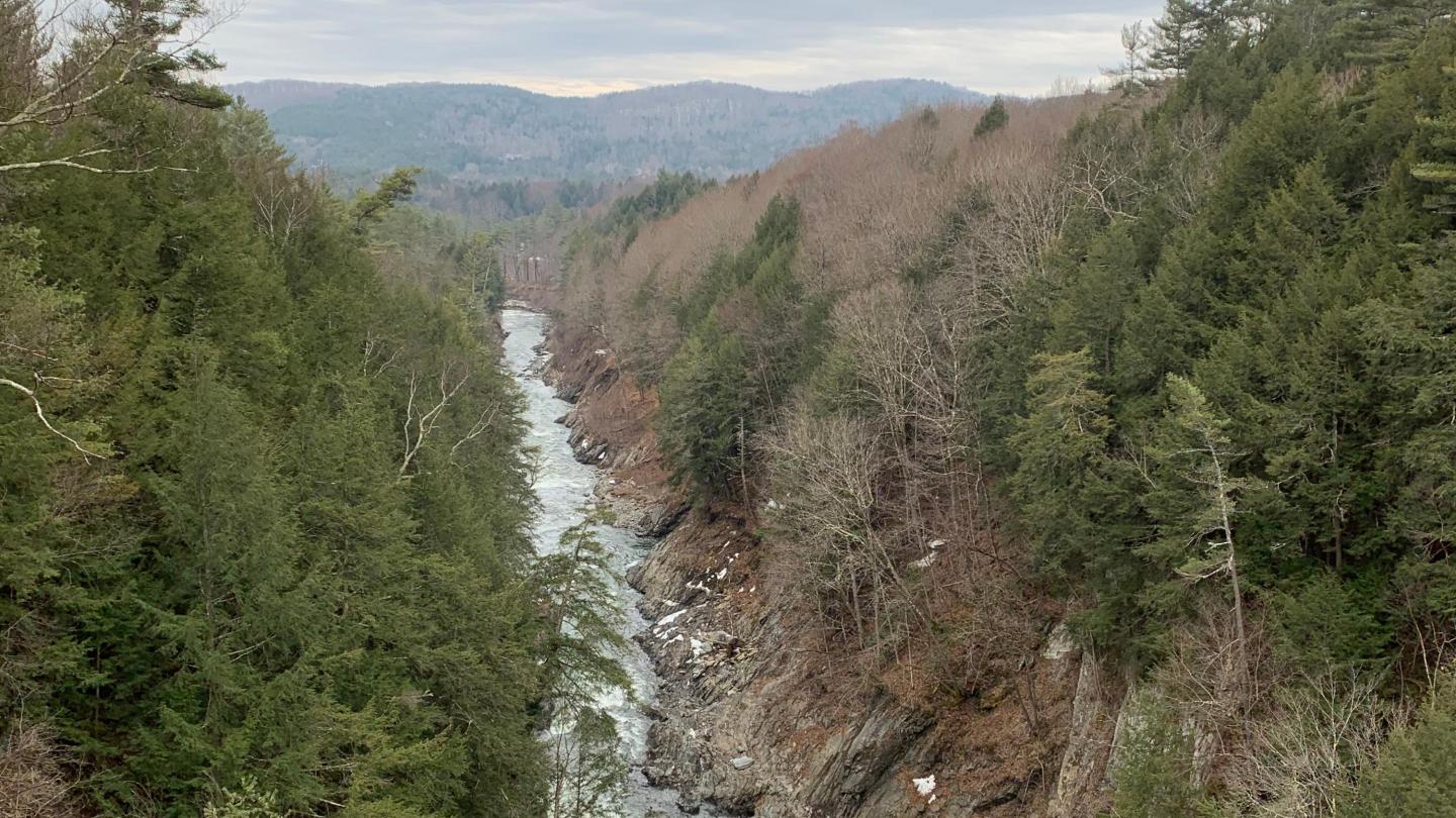 Gorge in the Spring