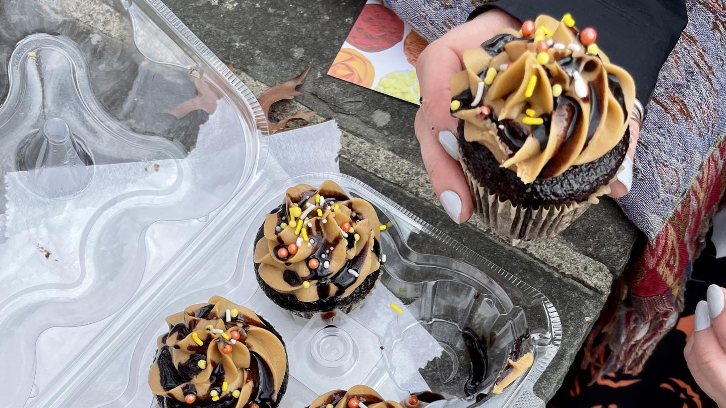 Cupcakes from Splendid Bake