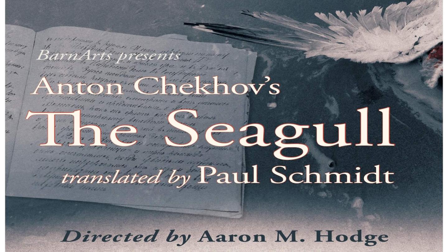 The Seagull