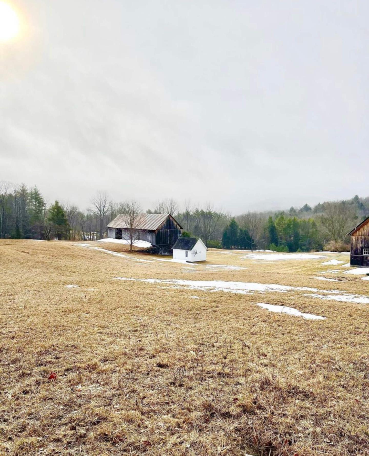Farm in Spring