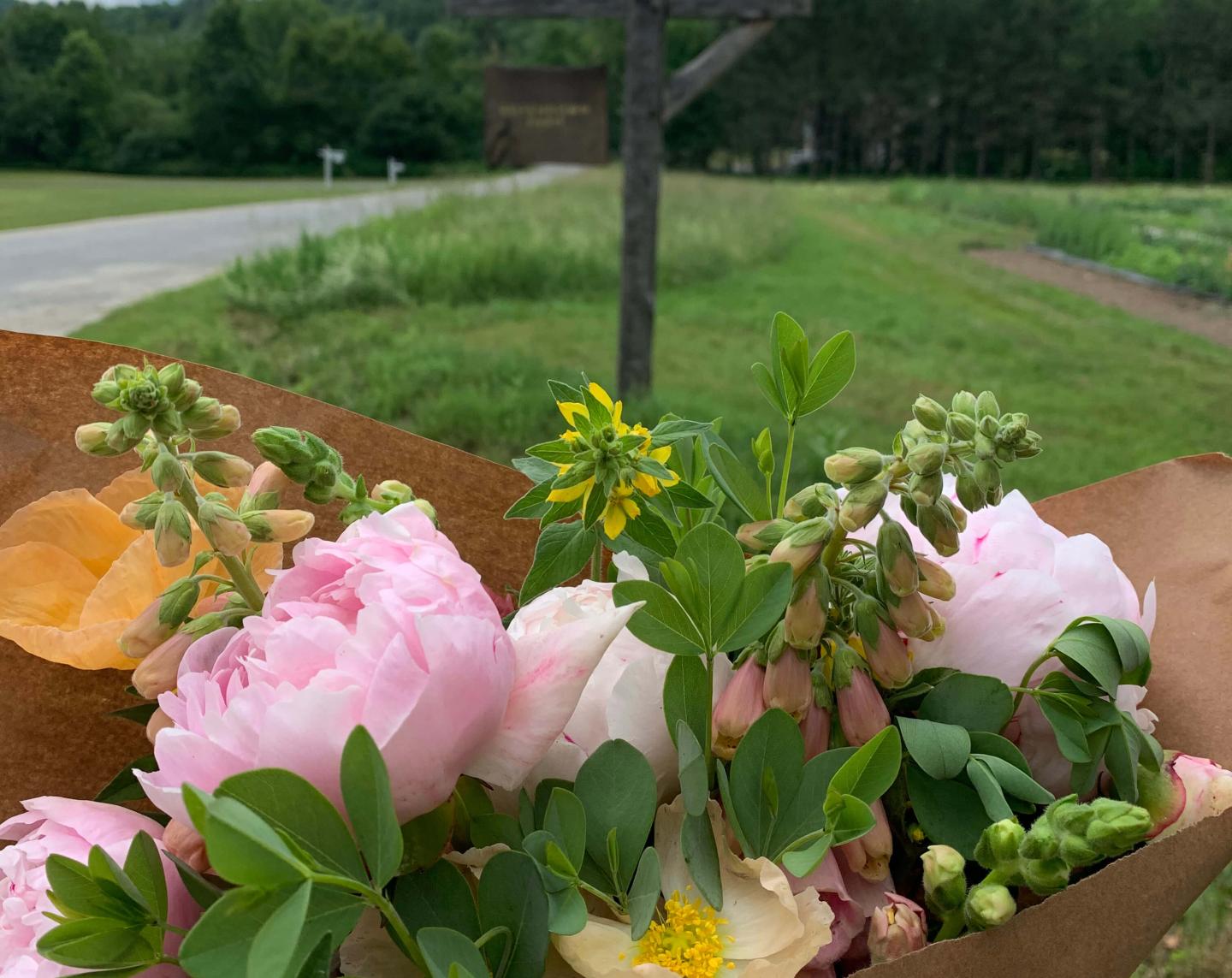 Bouquet of flowers
