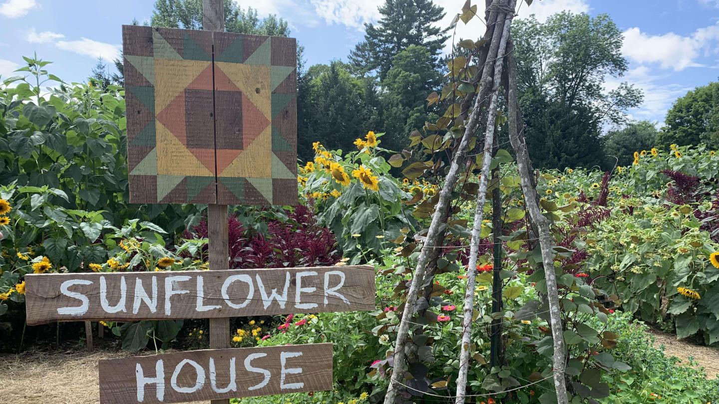 sign of entrance to sunflower house
