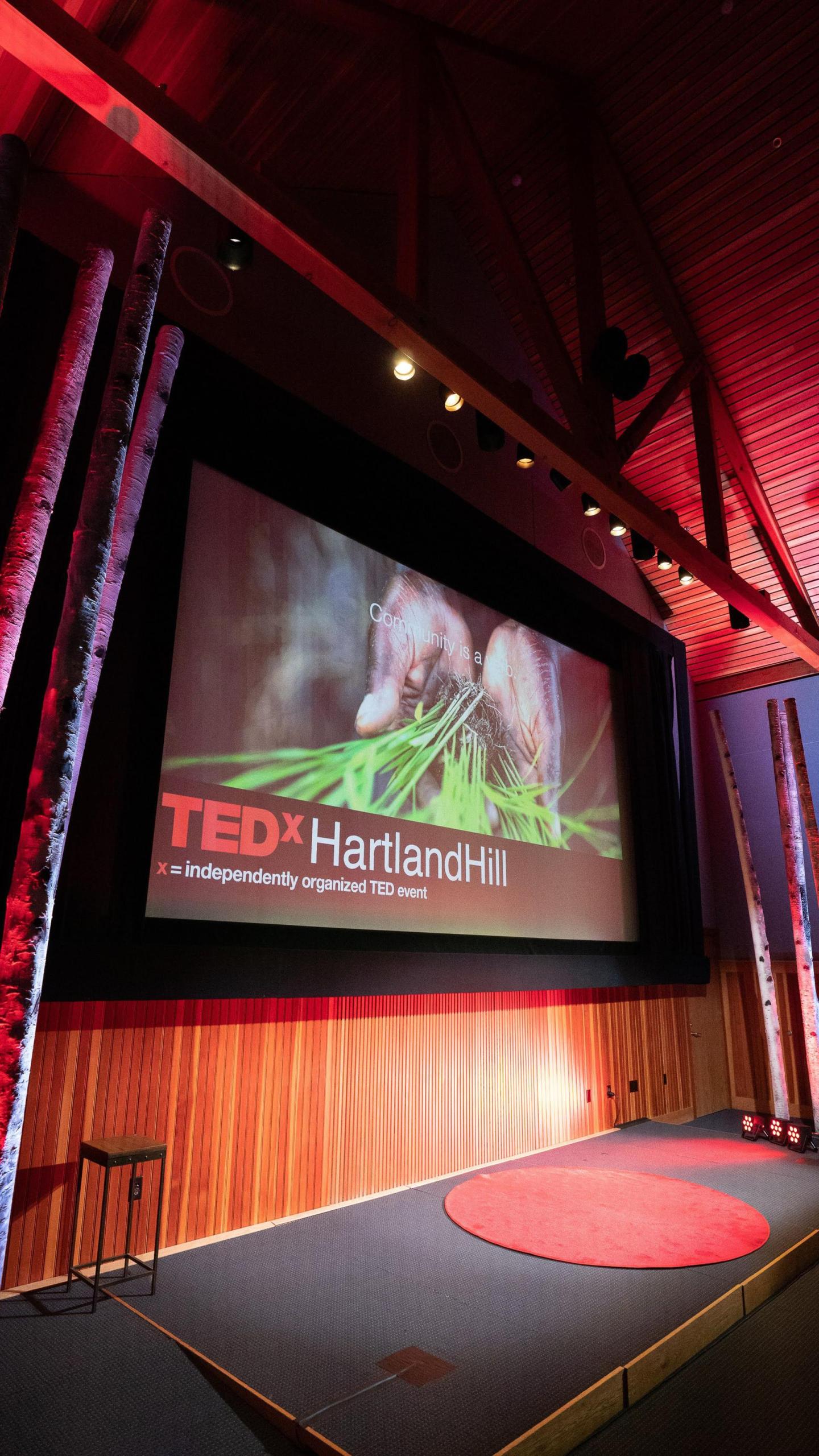 TedX Screen