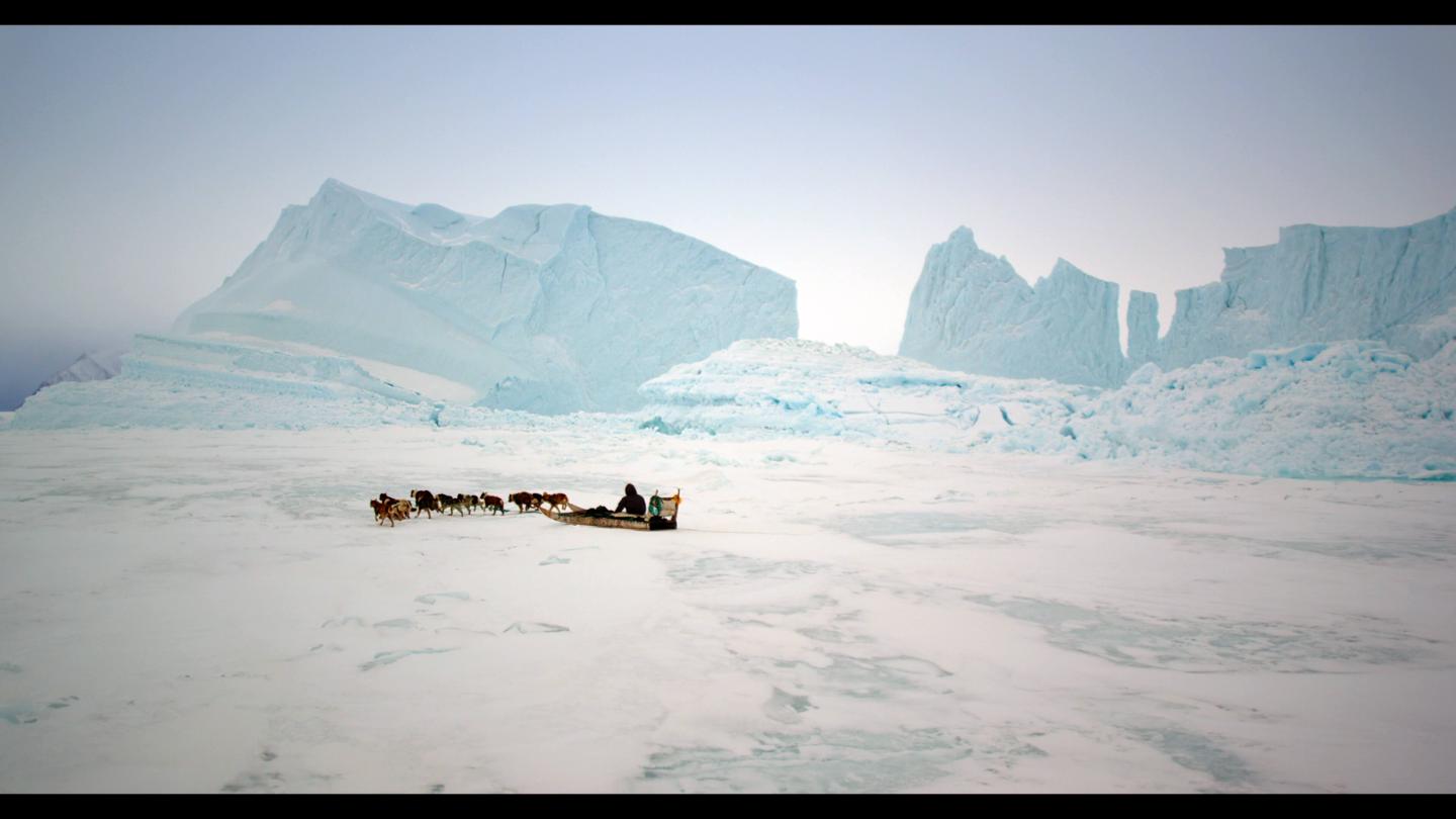 Member of Inuit community riding sled along Arctic ice