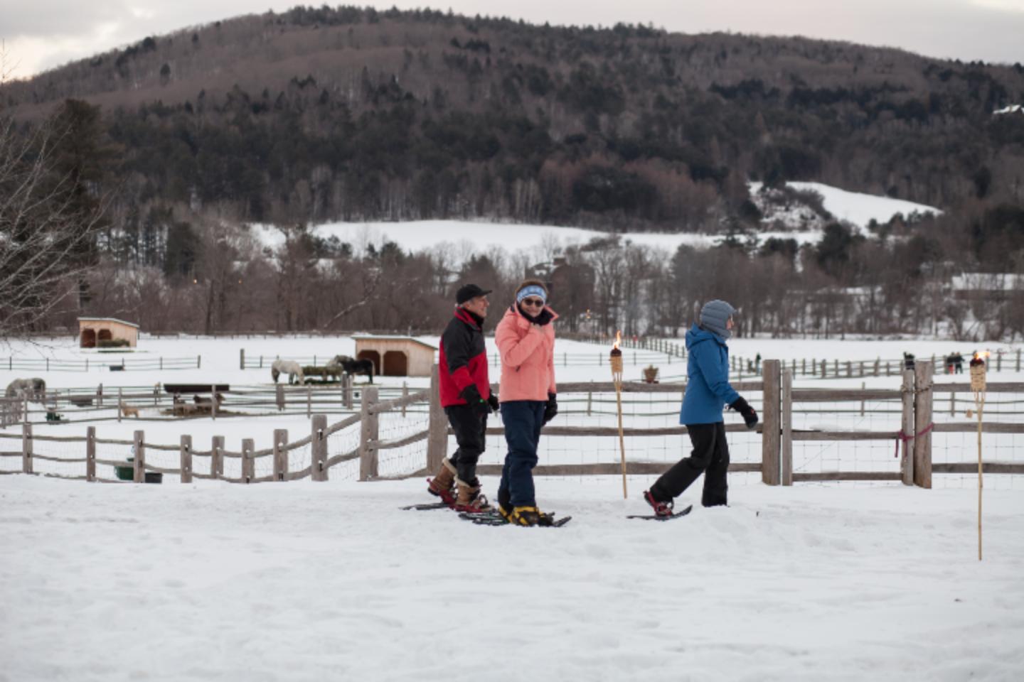 Torchlight Snowshoe