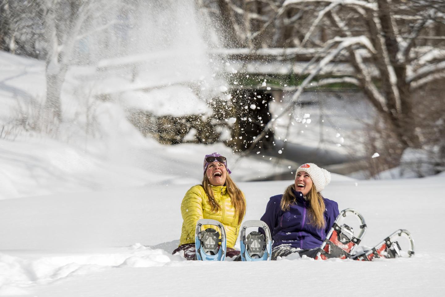 Snowshoers