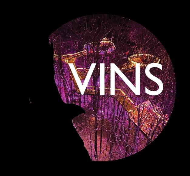 VINS-Logo lights